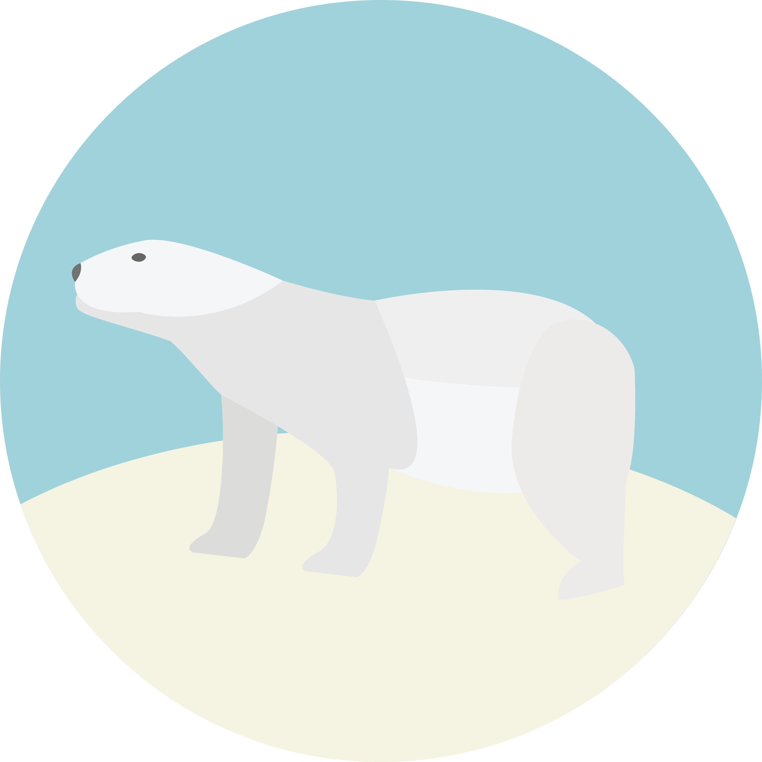 Polar Bear Laser Cut Svg File Free Vectors
